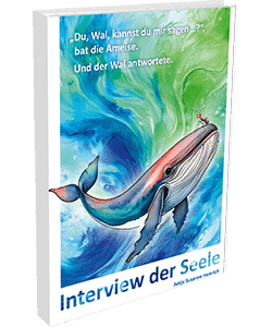 Interview der Seele