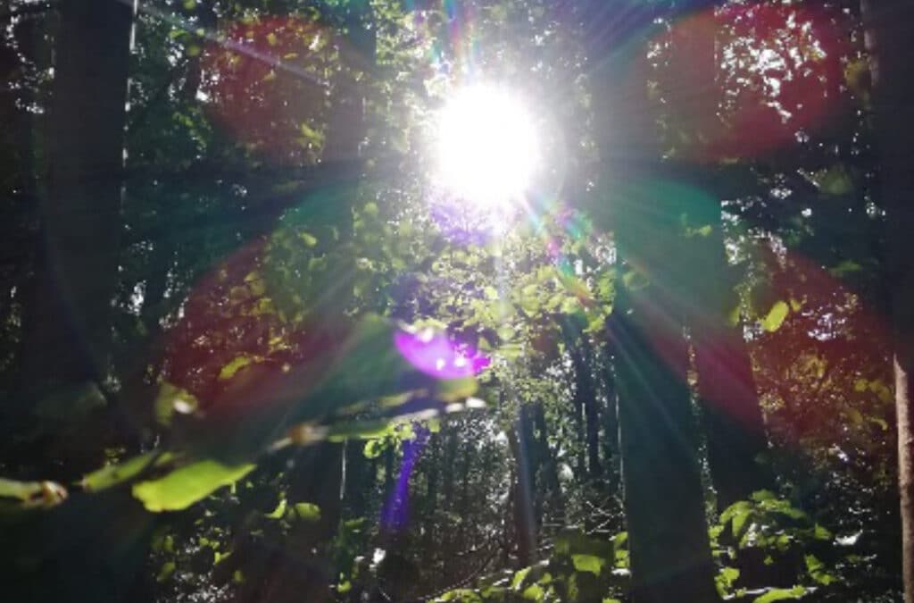 Durch die Dunkelheit ins Licht