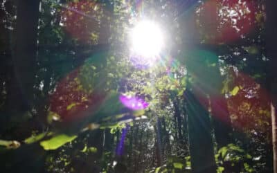 Durch die Dunkelheit ins Licht